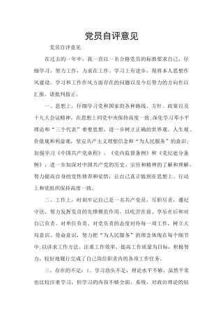 党员自评意见