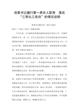 党委书记履行第一责任人职责