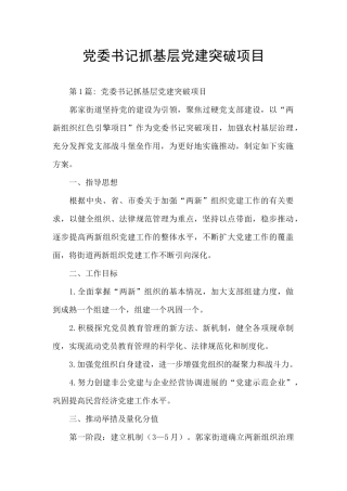 党委书记抓基层党建突破项目