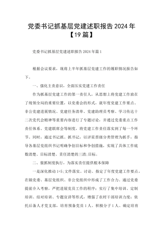党委书记抓基层党建述职报告2024年