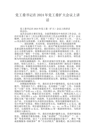 党工委书记在2024年党工委扩大会议上讲话