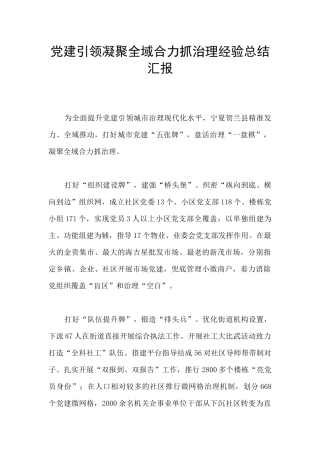 党建引领凝聚全域合力抓治理经验总结汇报
