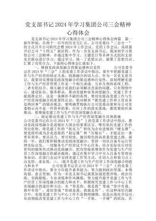 党支部书记2024年学习集团公司三会精神心得体会