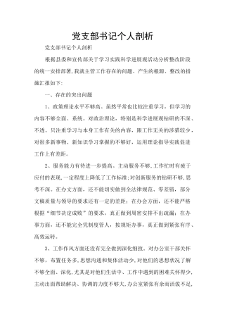 党支部书记个人剖析