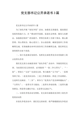 党支部书记公开承诺书3篇