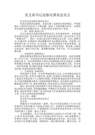 党支部书记巡察反馈表态发言