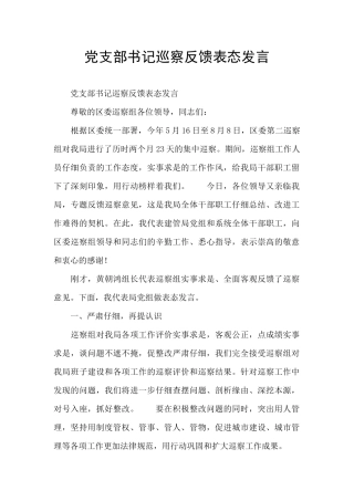 党支部书记巡察反馈表态发言