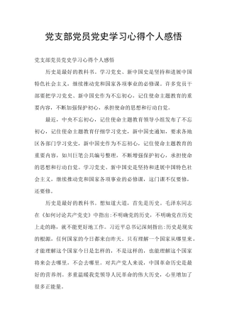党支部党员党史学习心得个人感悟