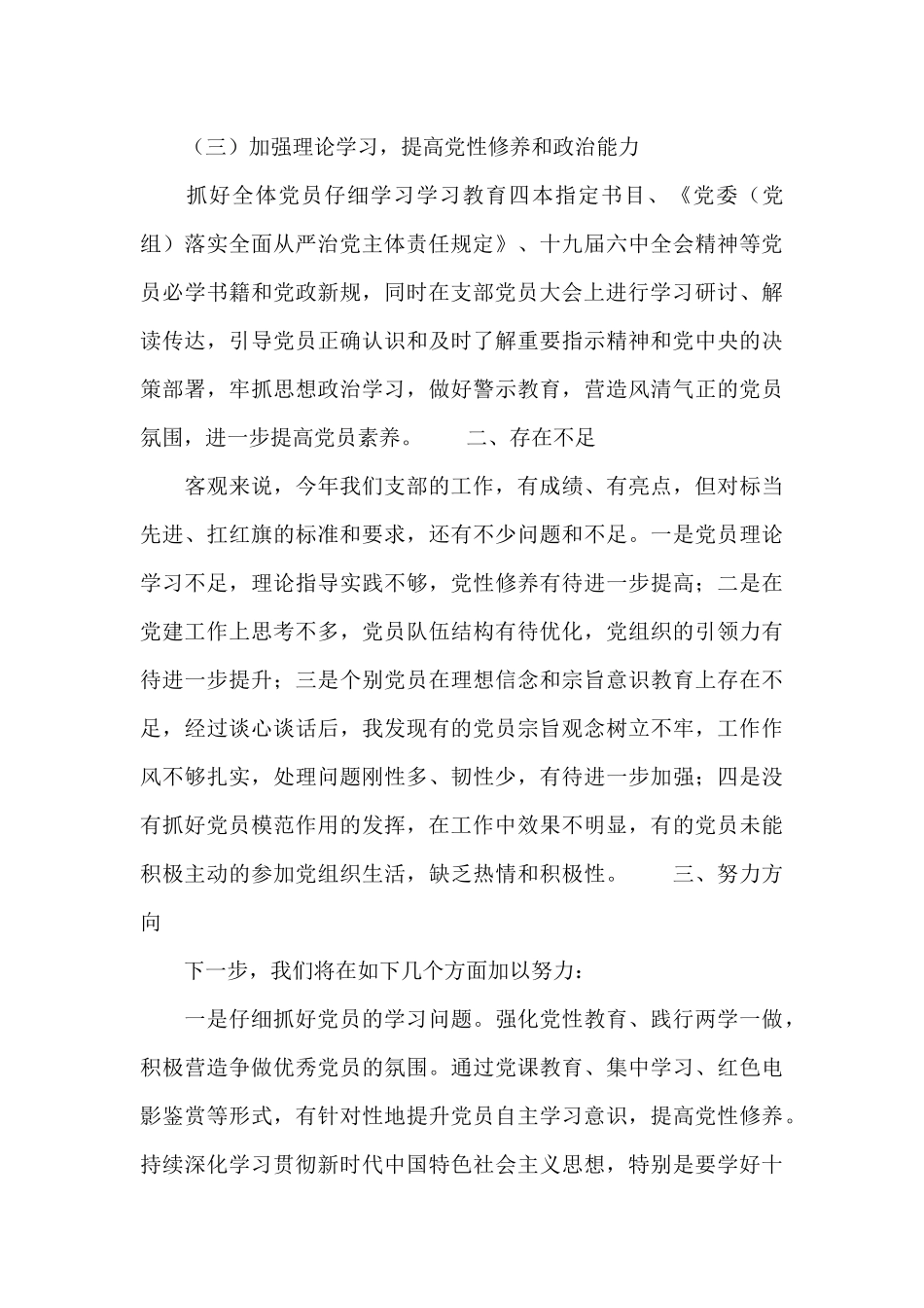 党支部全面从严治党主体责任工作汇报_第3页