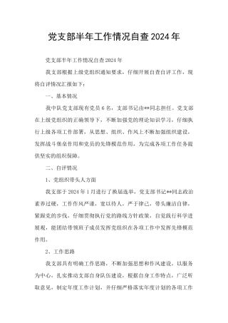 党支部半年工作情况自查2024年