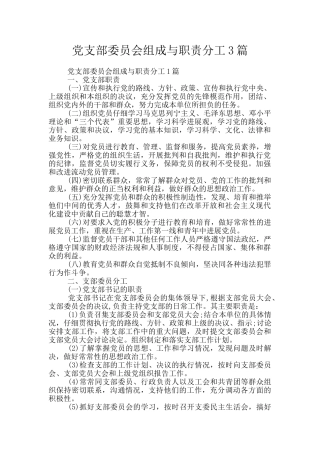 党支部委员会组成与职责分工3篇
