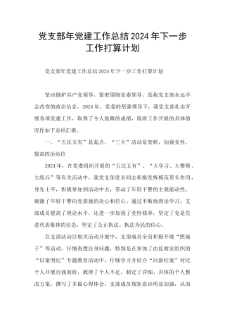 党支部年党建工作总结2024年下一步工作打算计划
