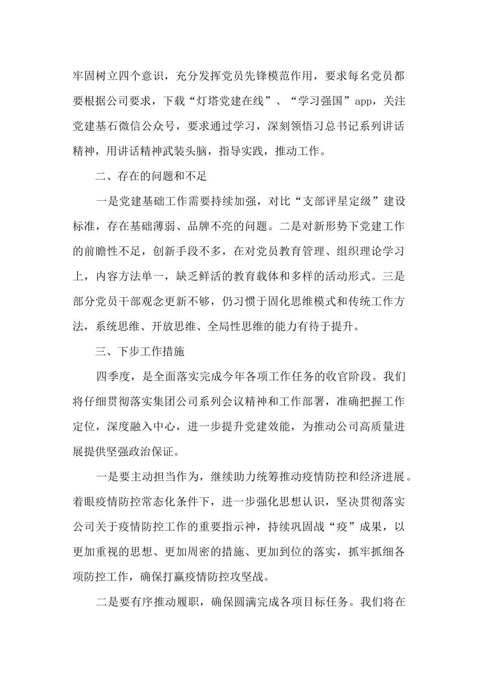 党支部建设自查排查工作总结_第2页