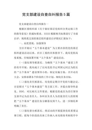 党支部建设自查自纠报告5篇