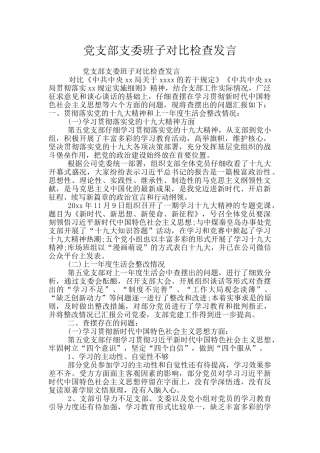 党支部支委班子对照检查发言