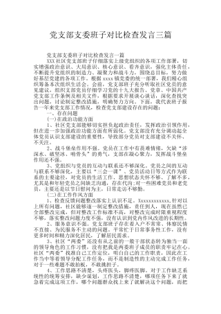 党支部支委班子对照检查发言三篇