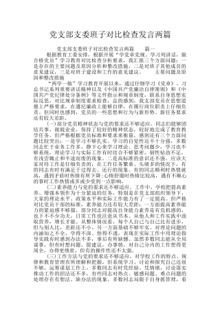 党支部支委班子对照检查发言两篇