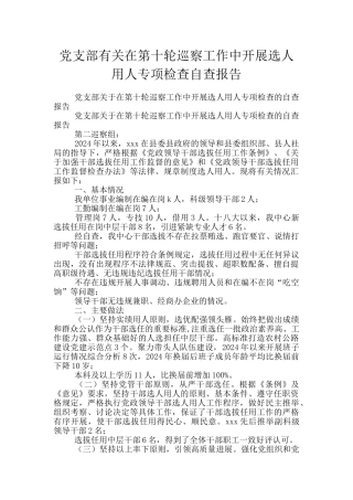 党支部有关在第十轮巡察工作中开展选人用人专项检查自查报告