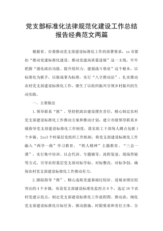 党支部标准化规范化建设工作总结报告经典范文两篇
