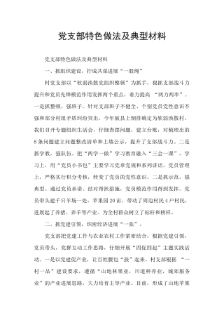 党支部特色做法及典型材料