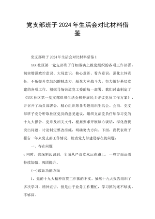 党支部班子2024年生活会对照材料借鉴