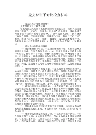 党支部班子对照检查材料