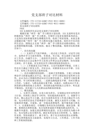 党支部班子对照材料