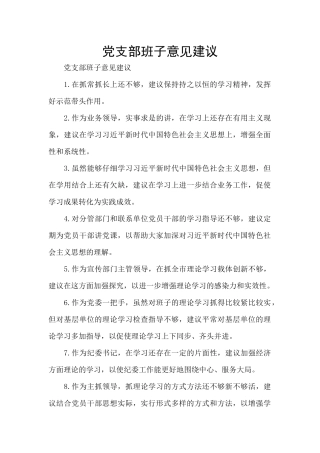 党支部班子意见建议