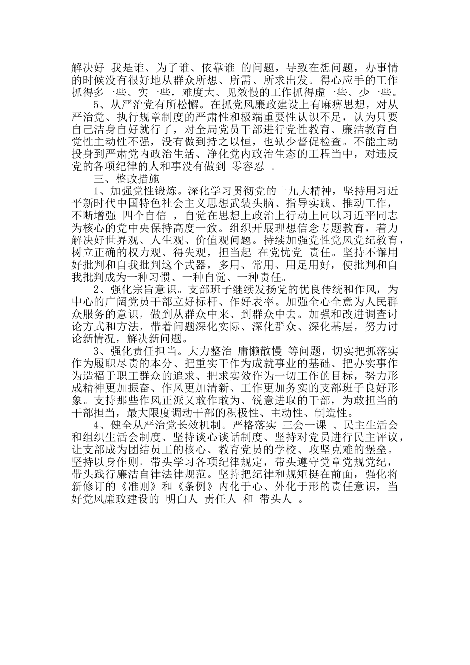 党支部班子集体对照检查材料_第3页