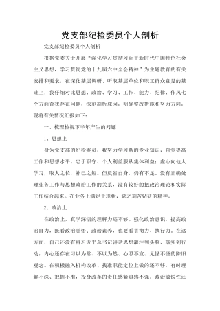党支部纪检委员个人剖析