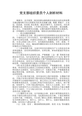 党支部组织委员个人剖析材料