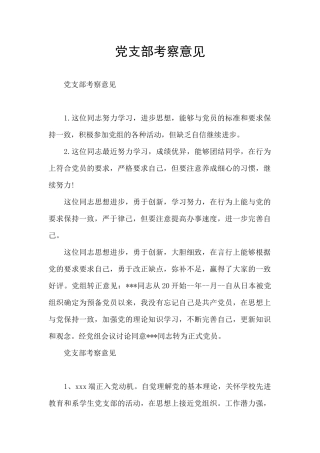 党支部考察意见