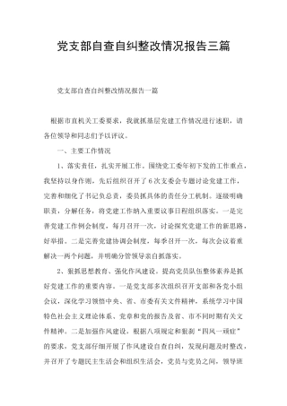 党支部自查自纠整改情况报告三篇
