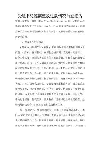 党组书记巡察整改进展情况自查报告