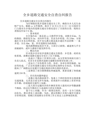 全乡道路交通安全自查自纠报告