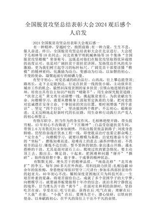 全国脱贫攻坚总结表彰大会2024观后感个人启发