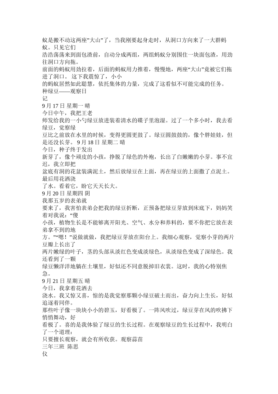 全神贯注作文300字精选_第3页