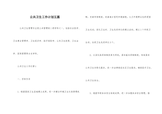 公共卫生工作计划五篇