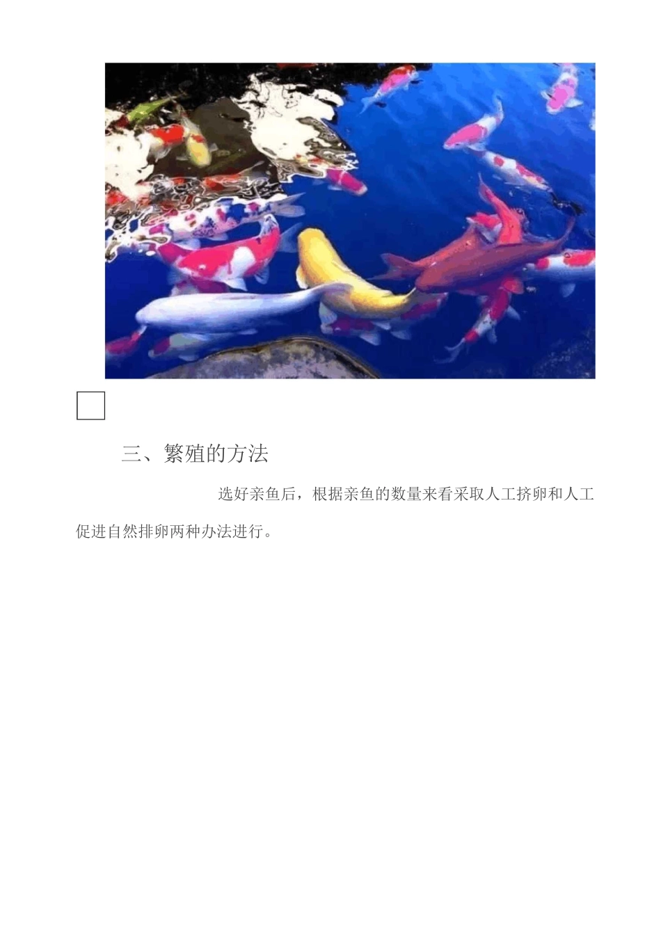 如何繁殖锦鲤鱼_第2页
