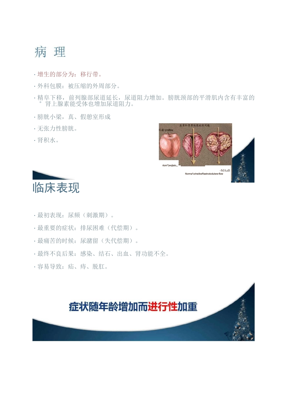 前列腺增生【泌尿外科】ppt课件_第3页