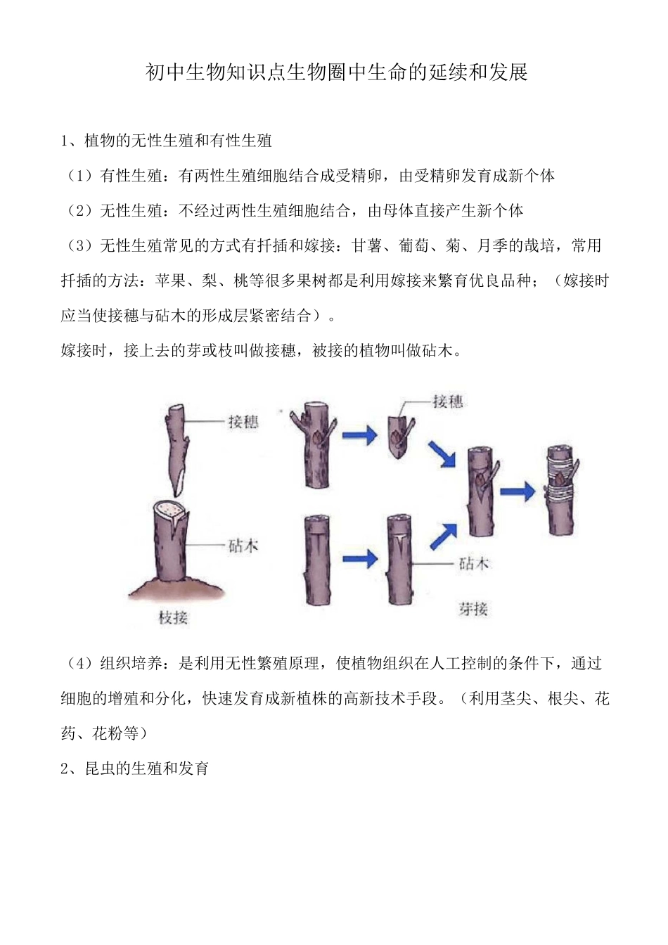 初中生物知识点生物圈中生命的延续和发展_第1页