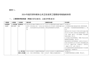 公卫项目考核标准