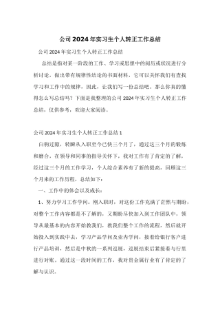 公司2024年实习生个人转正工作总结