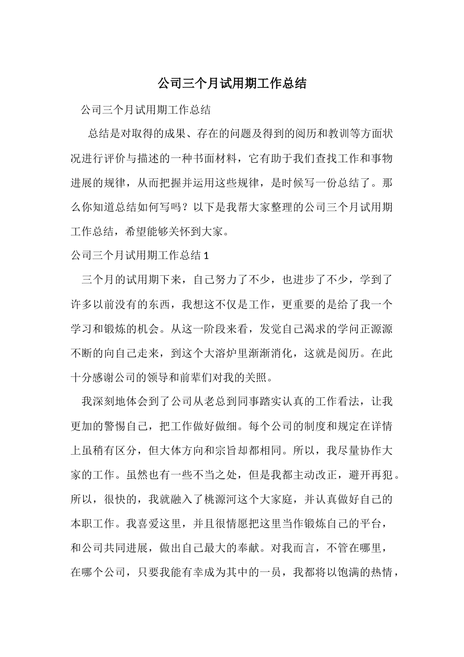 公司三个月试用期工作总结_第1页