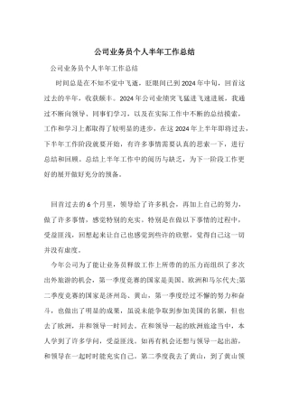 公司业务员个人半年工作总结