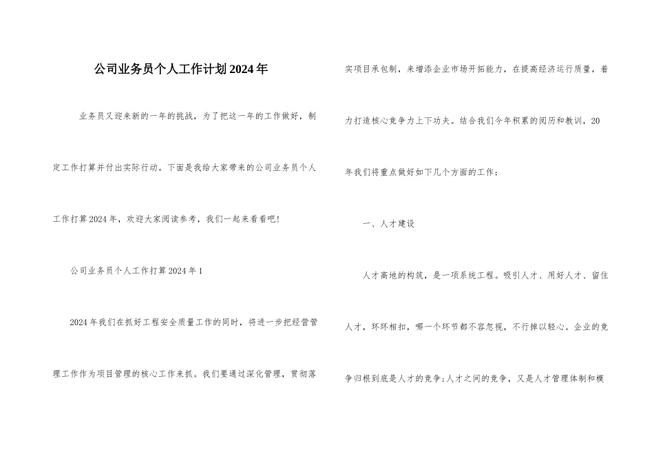 公司业务员个人工作计划2024年_第1页