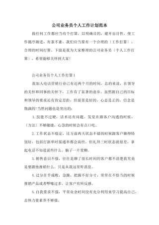 公司业务员个人工作计划范本