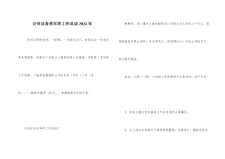 公司业务员年终工作总结2024年