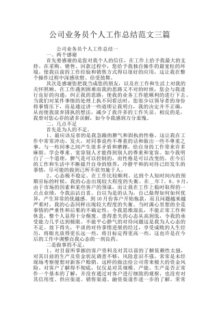 公司业务员个人工作总结范文三篇