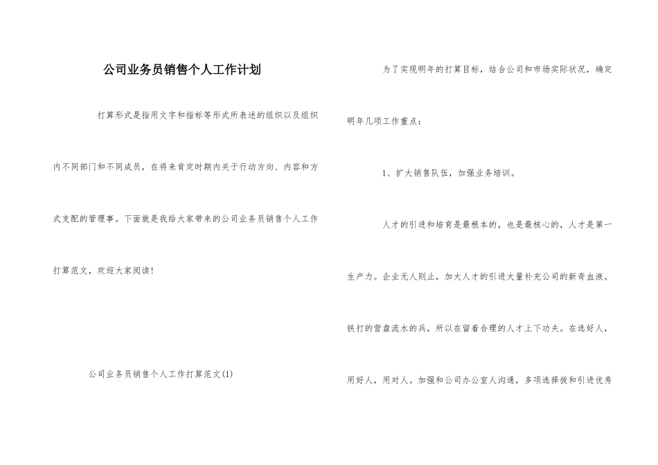 公司业务员销售个人工作计划_第1页